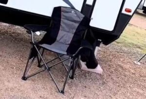 Portable Beach Chair